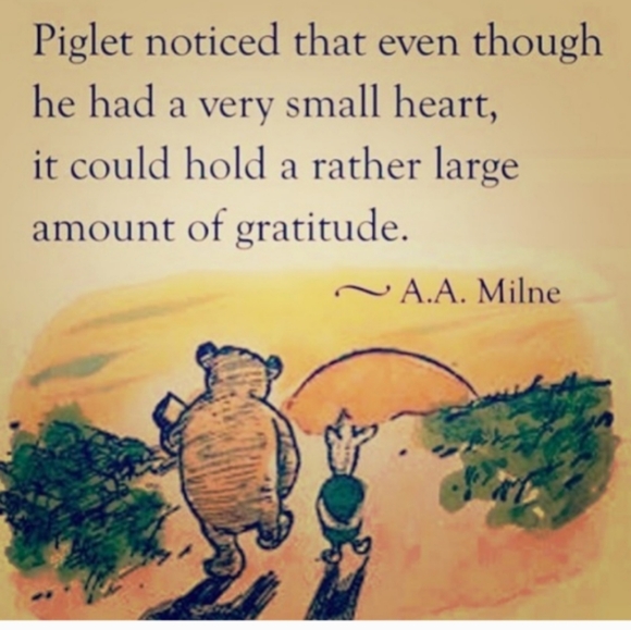 👙 Victoria’s Secret Incredible BioFit Lined Demi Uplift  Sz 40 DD - Picture 8 of 16